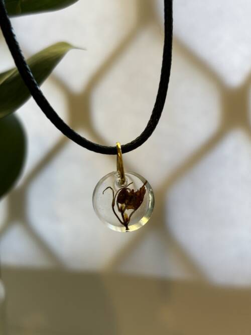 Enchanting Grape Vine Necklace: Nature's Elegance Encased in Resin